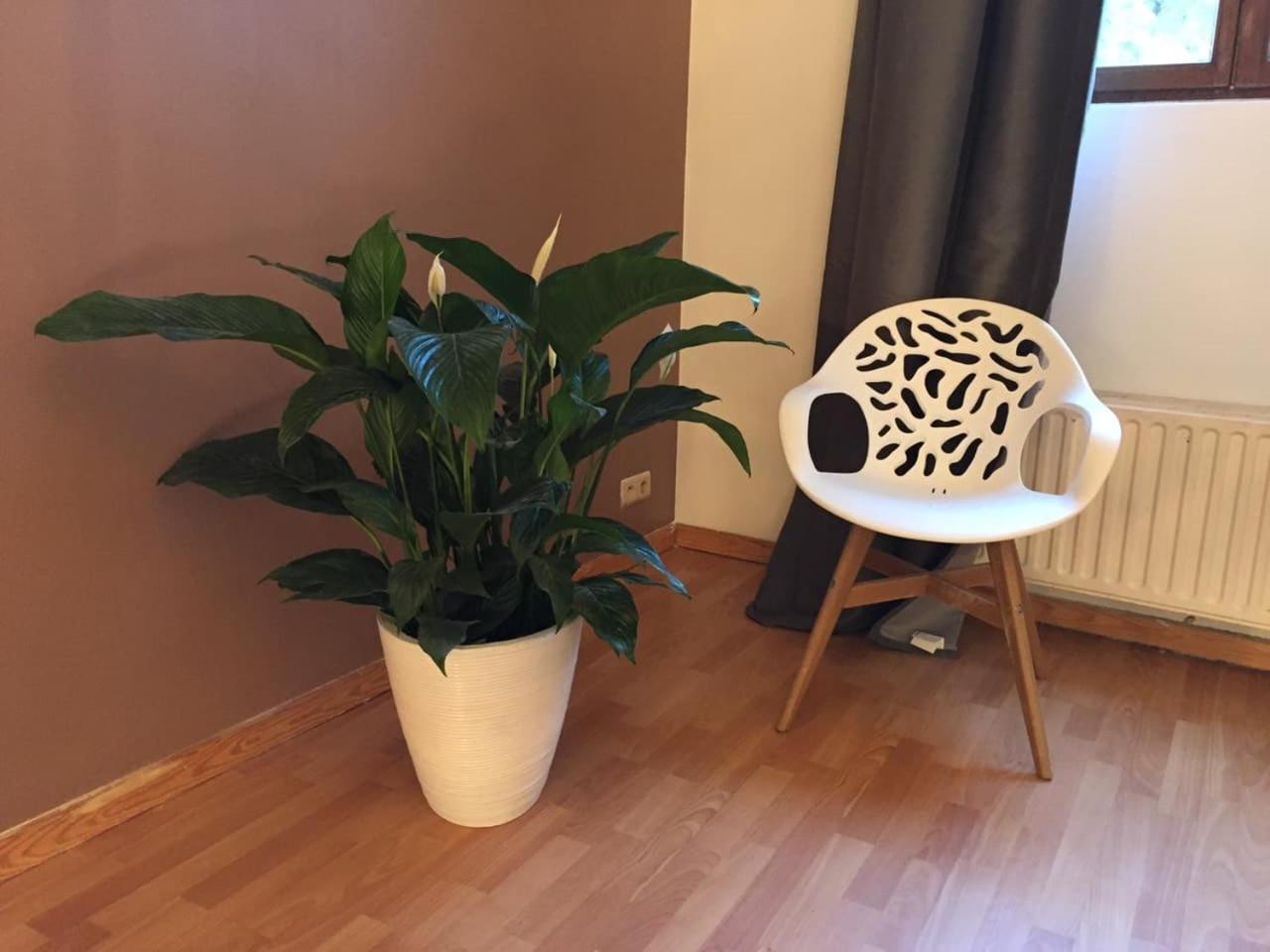 Daily Apartments - Antwerp City Екстер'єр фото